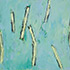 March II