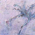 Sea Weed VII